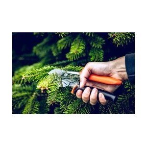 Löwe 1.109, anvil pruner ergonimic