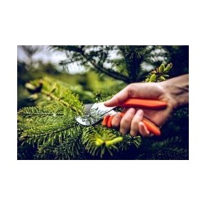 Löwe 2.107, Amboss Schere