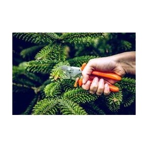 Löwe 5.124, Amboss Schere