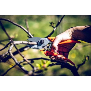 Löwe 6.107, aambeeld tuindersschaar