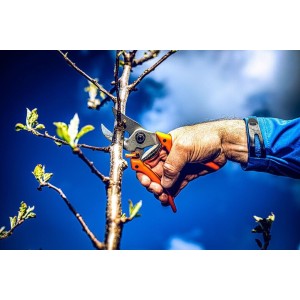 Löwe 8.107, sécateur Original