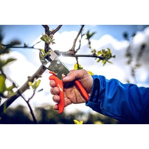 Löwe 10.107, Amboss-Schere