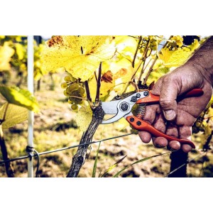 Löwe 11.104, bypass pruner