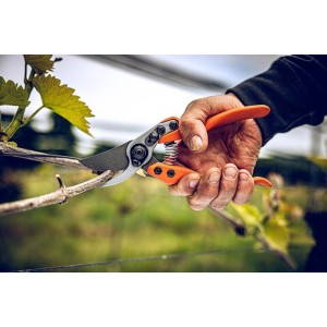 Löwe 11.104, bypass pruner