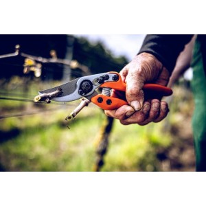 Löwe 11.104, bypass pruner