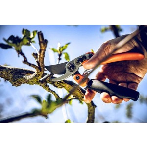 Löwe 11.109, sécateur bypass