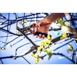 Löwe 11.109, sécateur bypass