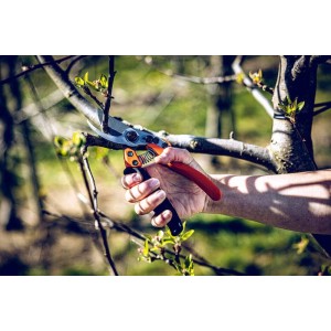 Löwe 11.109, sécateur bypass