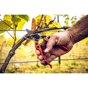 Löwe 12.104, bypass pruner