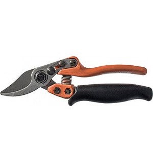 Löwe 12.109, kleine-Bypass-Schere