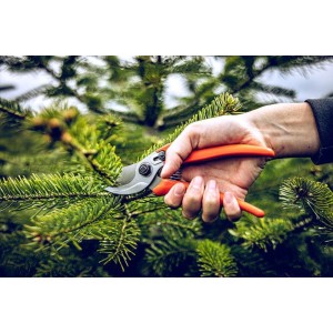 Löwe 14.104, bypass pruner