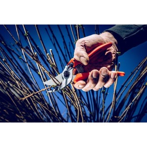 Löwe 14.104, bypass pruner