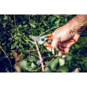 Löwe 14.107, bypass snoeischaar, gebogen greep