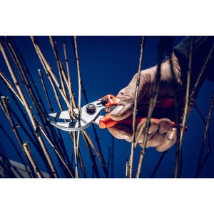 Löwe 15.104, Amboss Schere kompakt