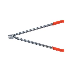 Löwe 20.080,  enbracheur anvil