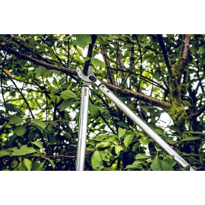 Löwe 20.080, aambeeld snoeischaar