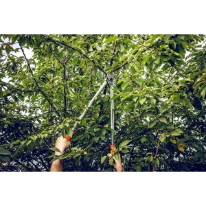 Löwe 20.100, Amboss Astschere