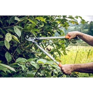 Löwe 21.065, Bypass-lopper