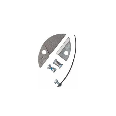 Löwe 5007