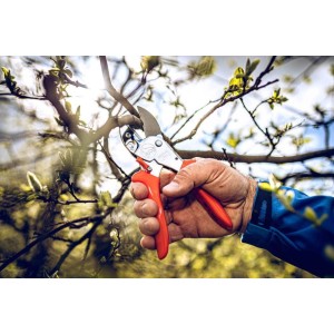 Löwe 1.104, aambeeld tuindersschaar