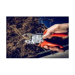 Löwe 1.104, aambeeld tuindersschaar