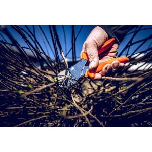 Löwe 1.104, aambeeld tuindersschaar