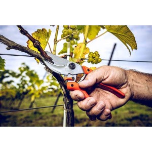 Löwe 9.104, bypass snoeischaar