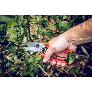 Löwe 9.104, bypass snoeischaar