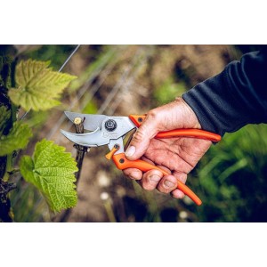 Löwe 9.107, bypass snoeischaar