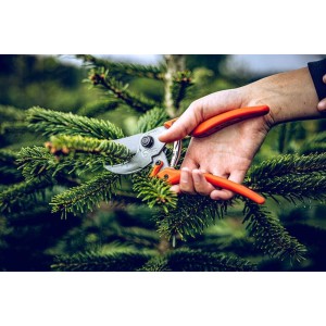 Löwe 9.107, bypass snoeischaar