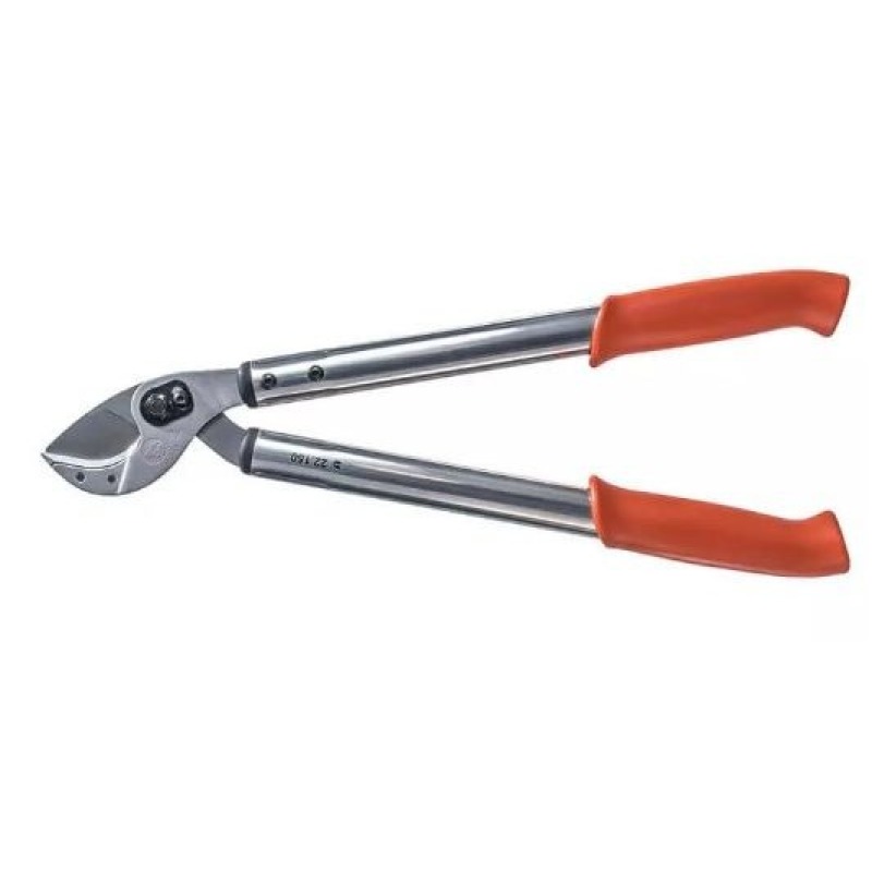 Löwe 22150, grote wildschaar