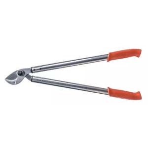 Löwe 22165, grote wildschaar