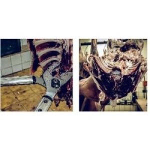 Löwe 22165, grote wildschaar