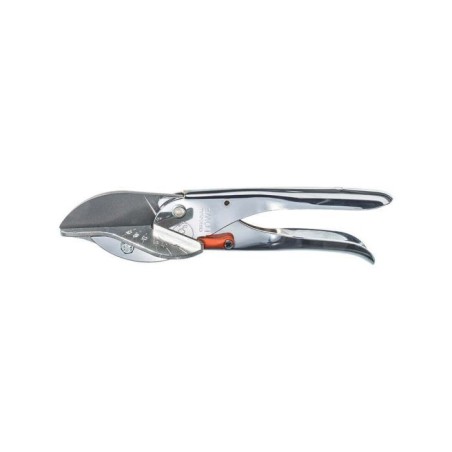 Löwe 3101