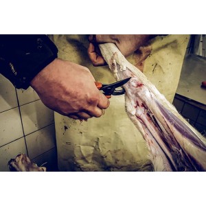 Löwe 15.114, jacht en wildschaar