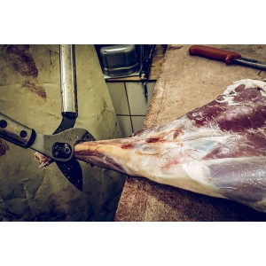 Löwe 22150, grote wildschaar