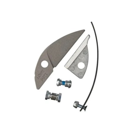 Löwe 5027